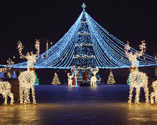 CastelMimi2 CastelMimi2