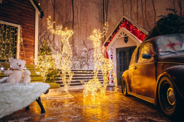 sfere-cerbi-img16 sfere-cerbi-img16